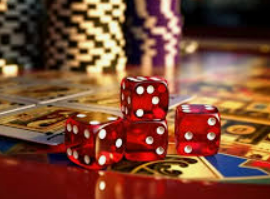 6686下载2024最新版